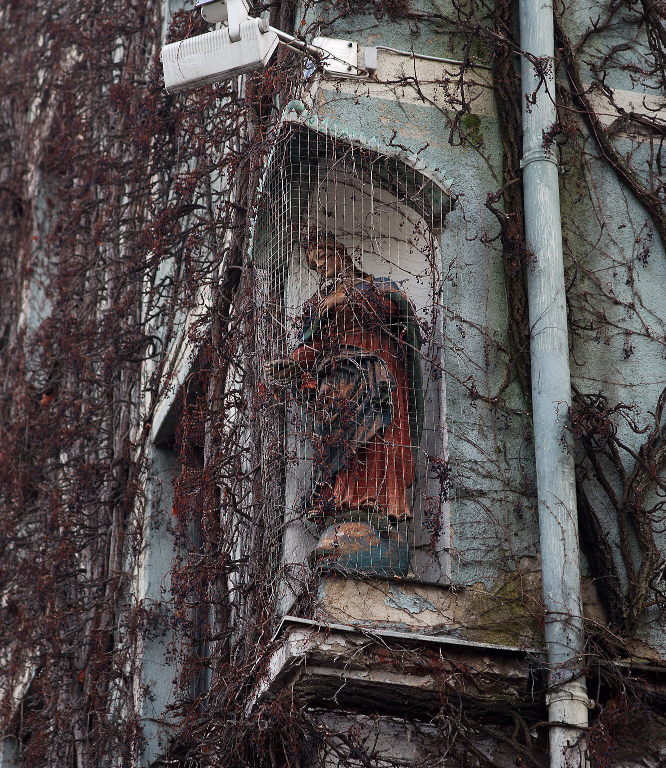 Patrona Bavariae – netted