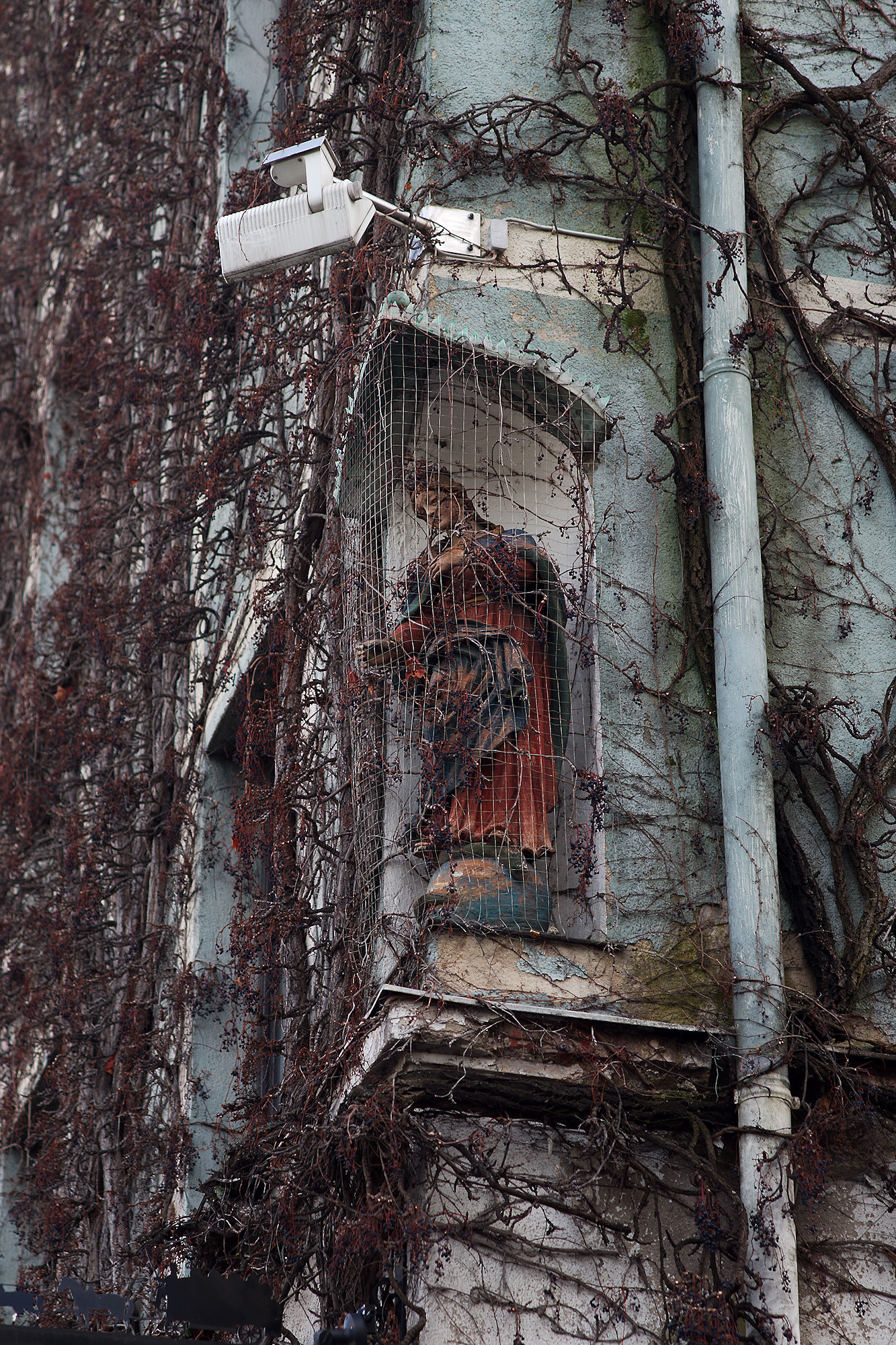 Patrona Bavariae – netted