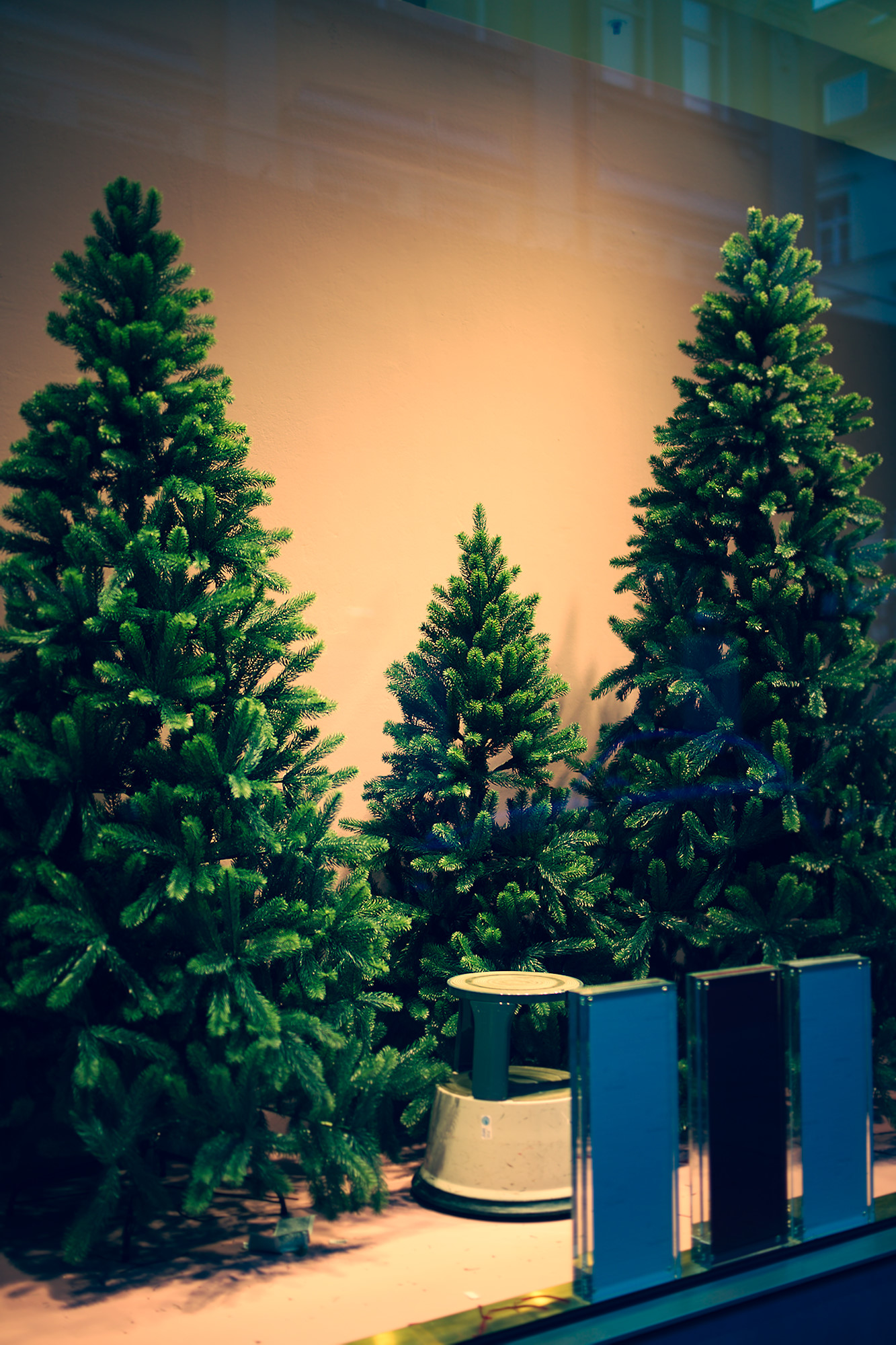 Shop Window Epiphany