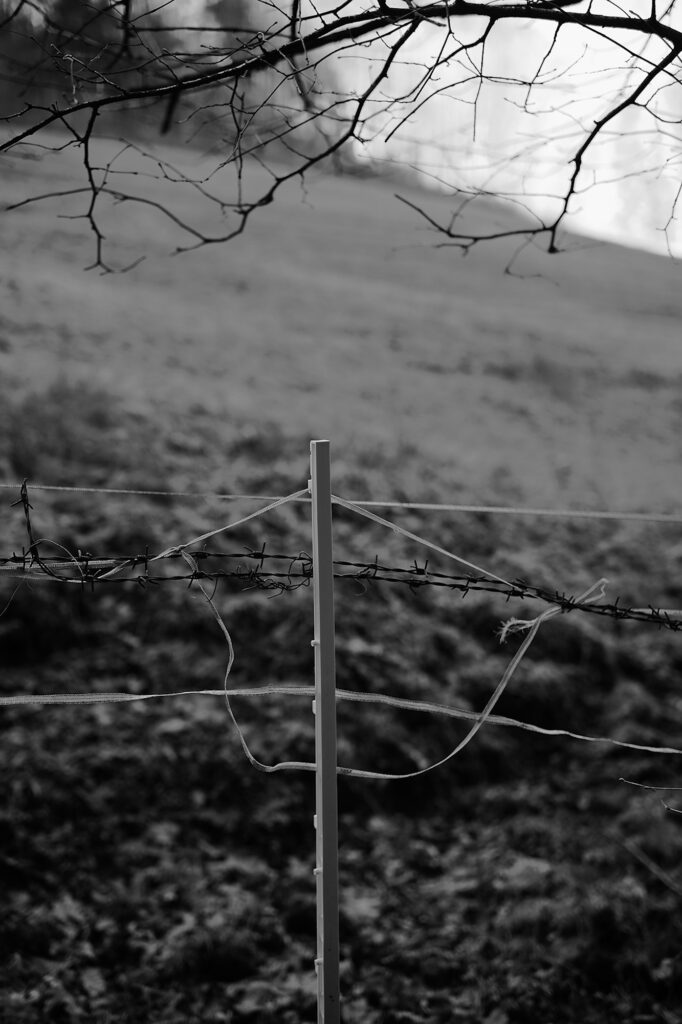 White Fence 2020, Kugelbachbauernweg, Bad Reichenhall, Black & White, Minor Landscape