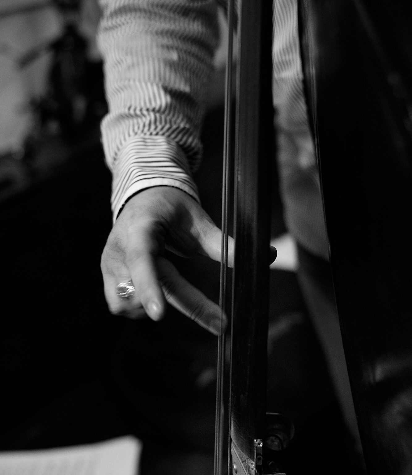 Bass Player