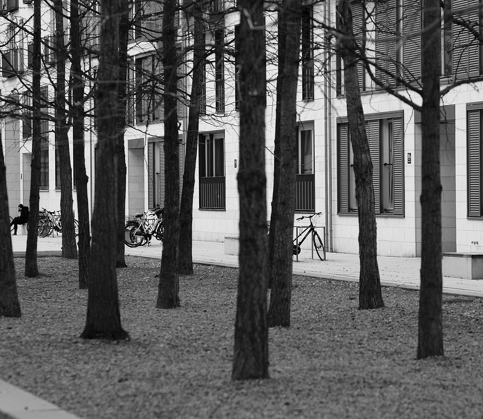 Embedded Trees