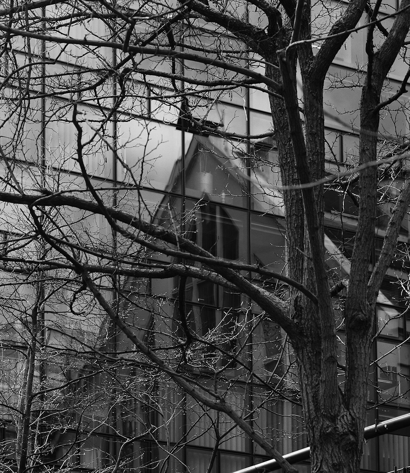 Tree and Reflection
