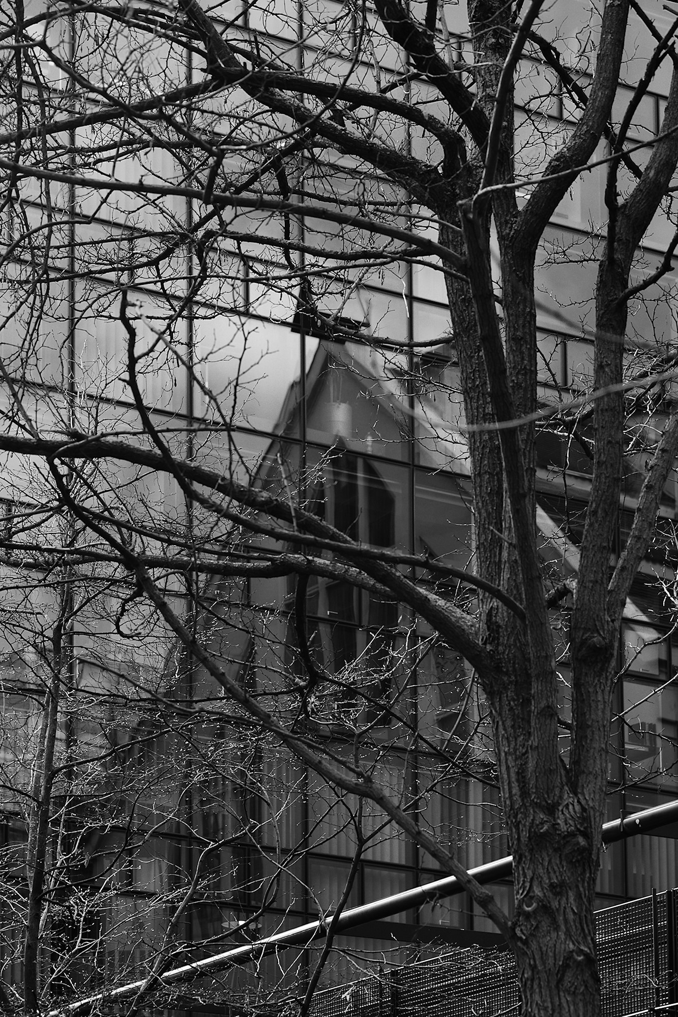 Tree and Reflection