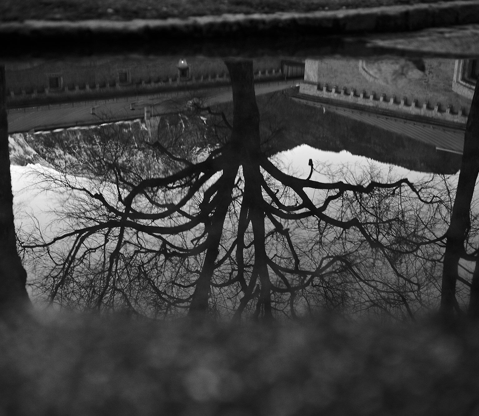 Upside Down