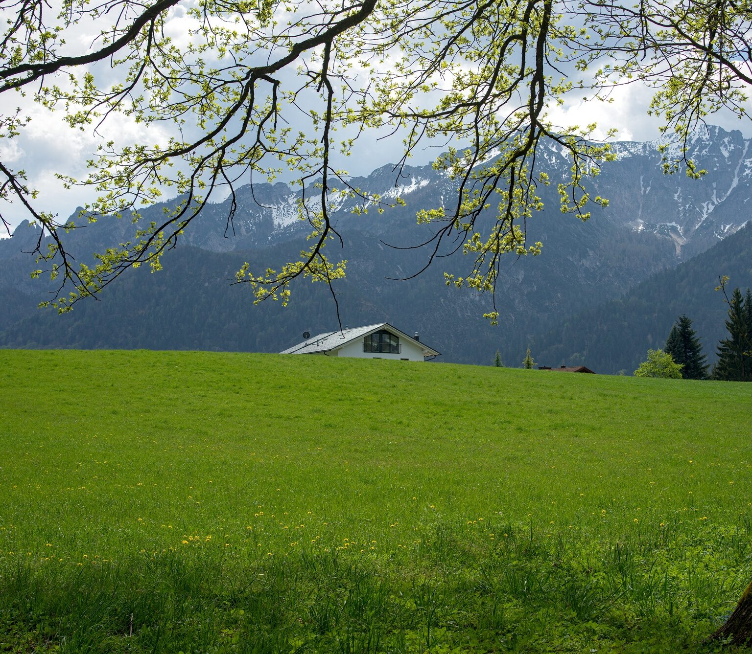 Framed View