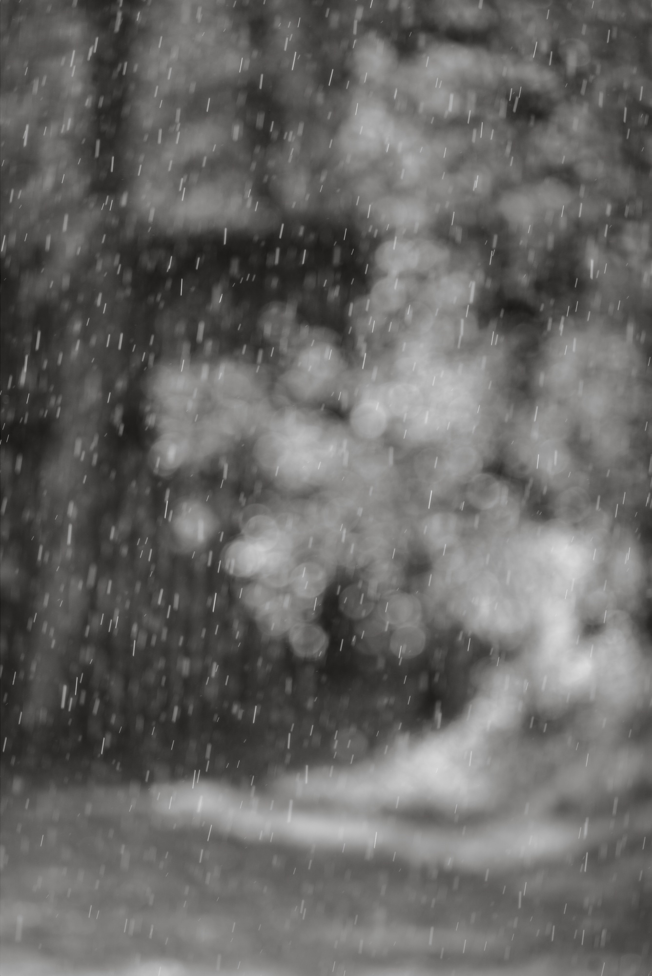Spring Rain