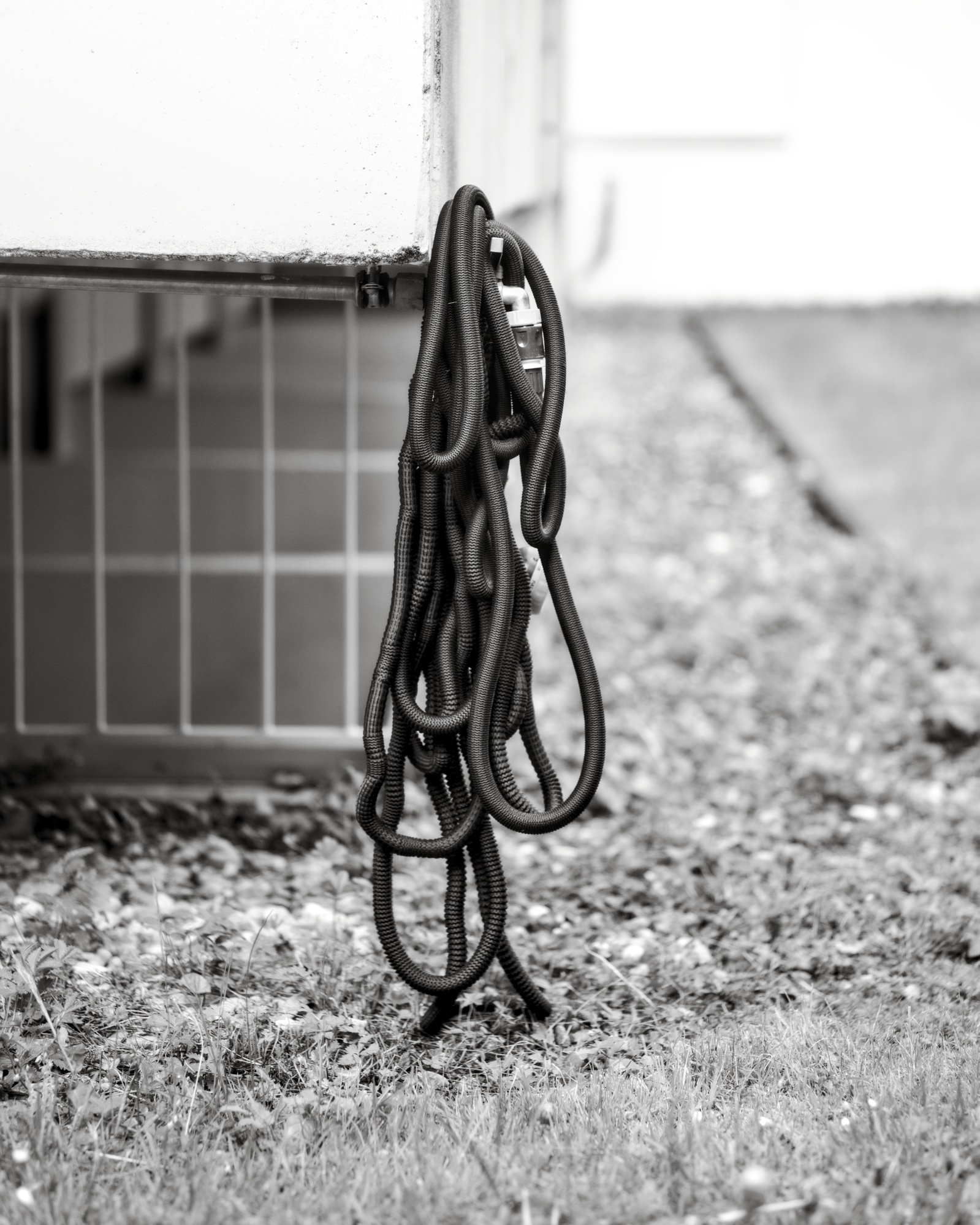 Worms out of Pandora’s Can