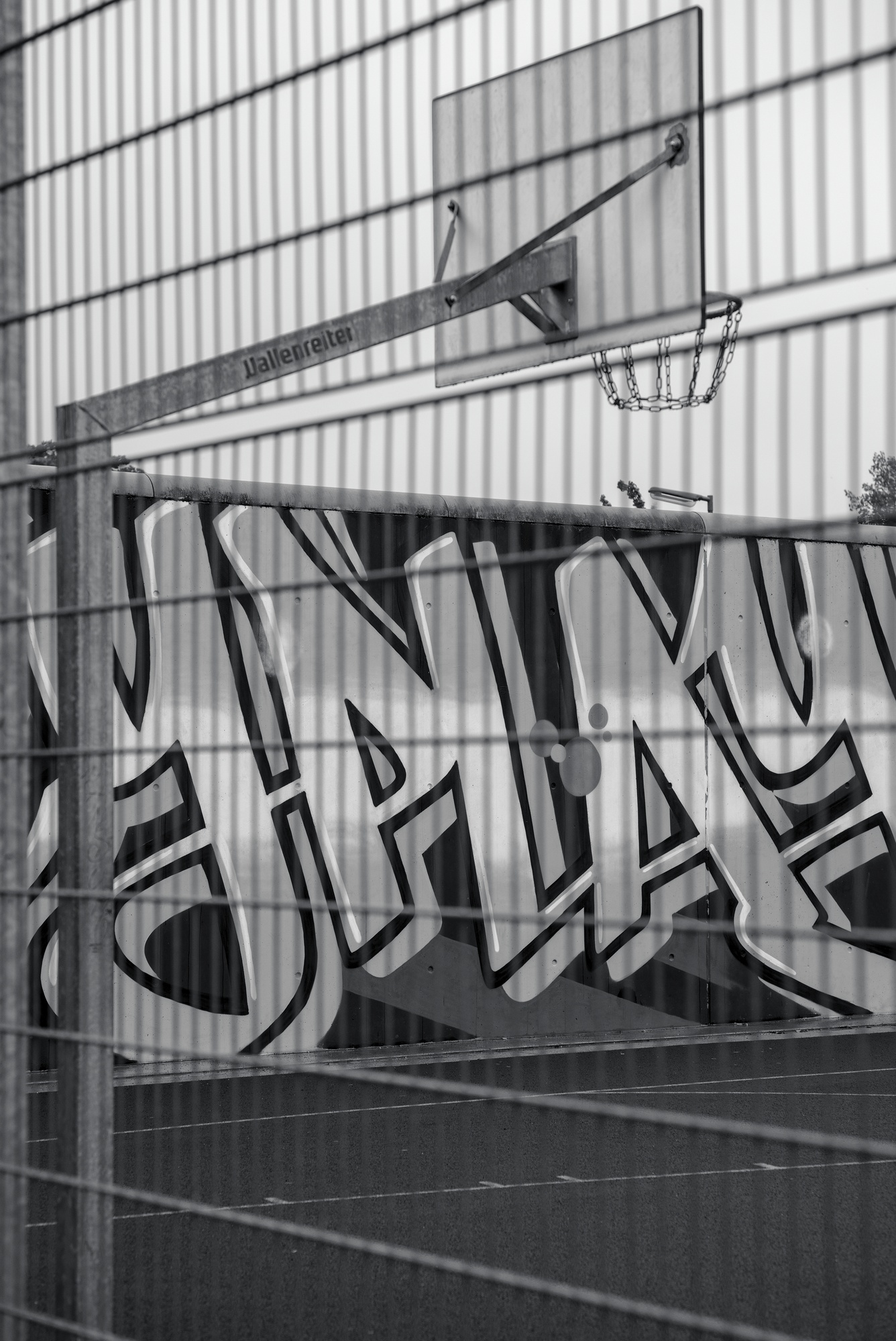 Caged Hoop
