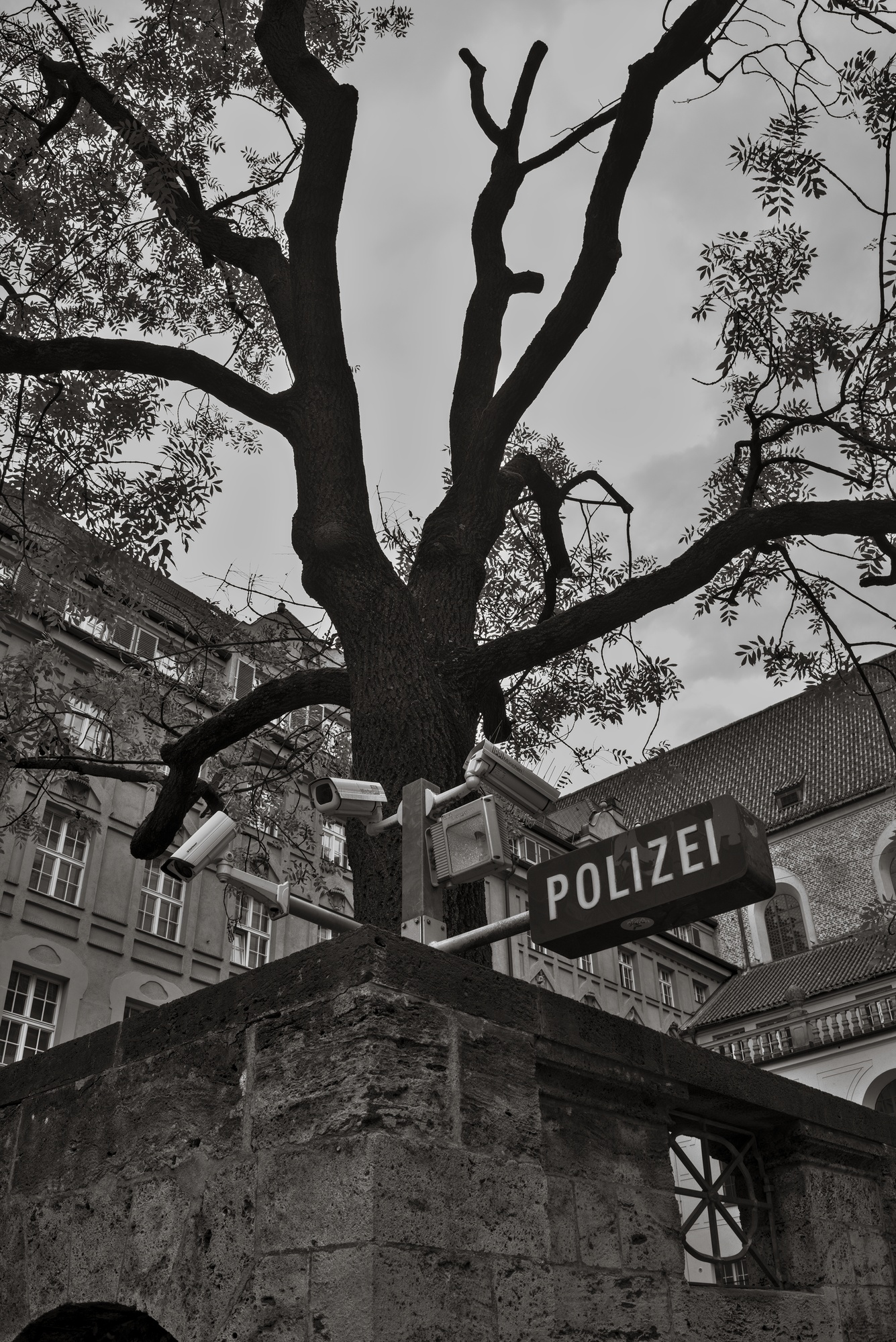 Trees