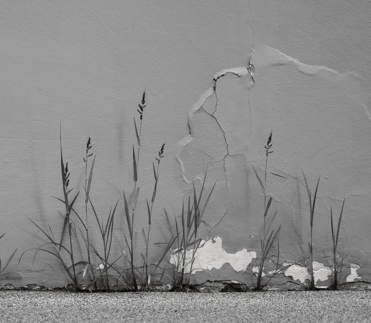(Weese) Weeds