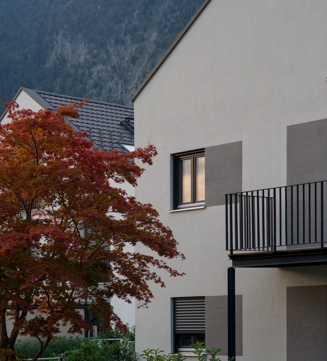 Fall Foliage