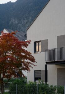 Fall Foliage