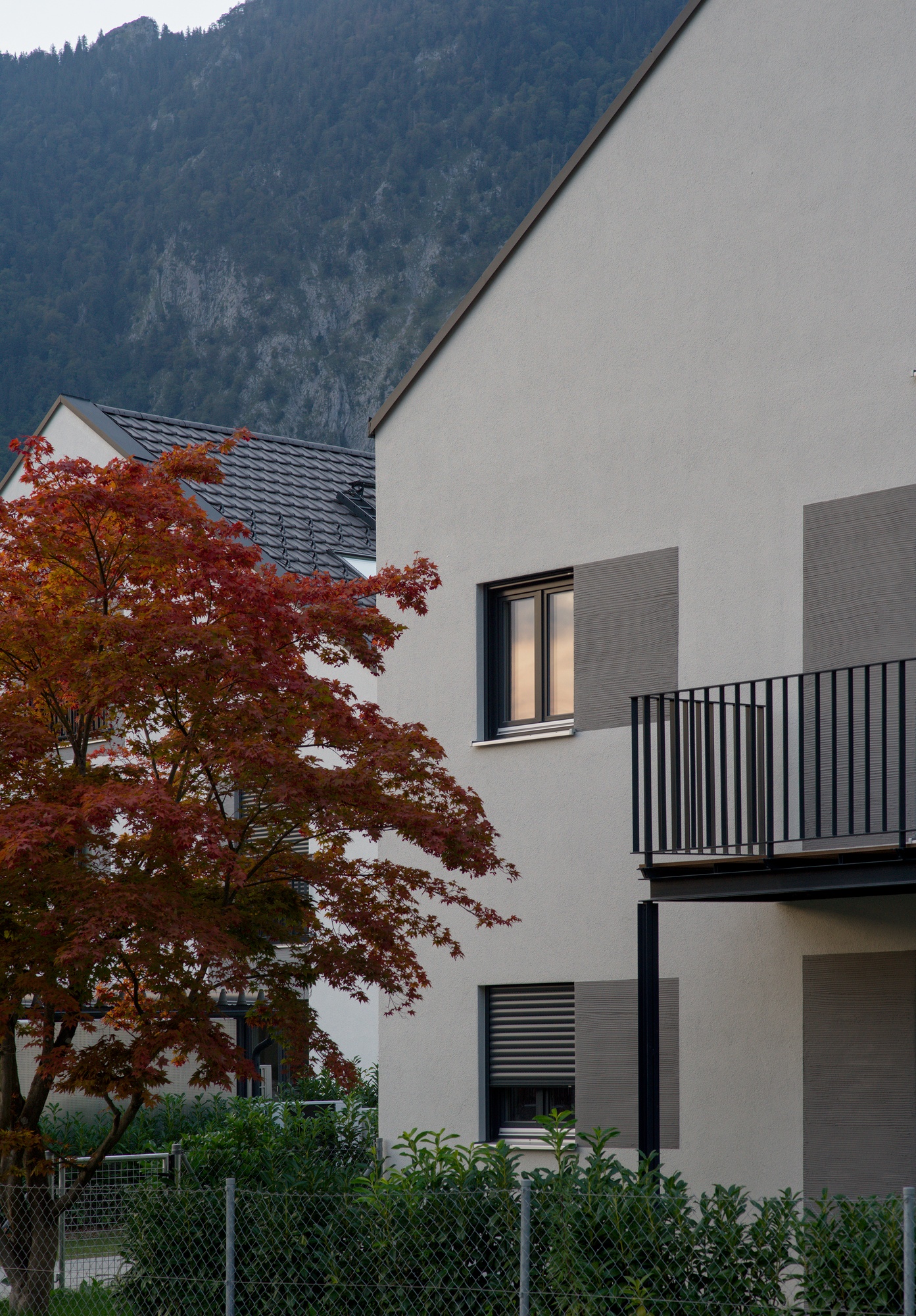 Fall Foliage