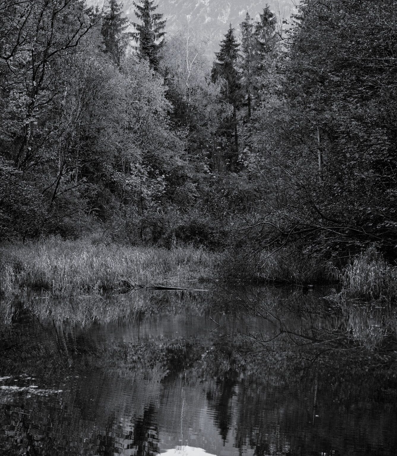Calm of the Evening