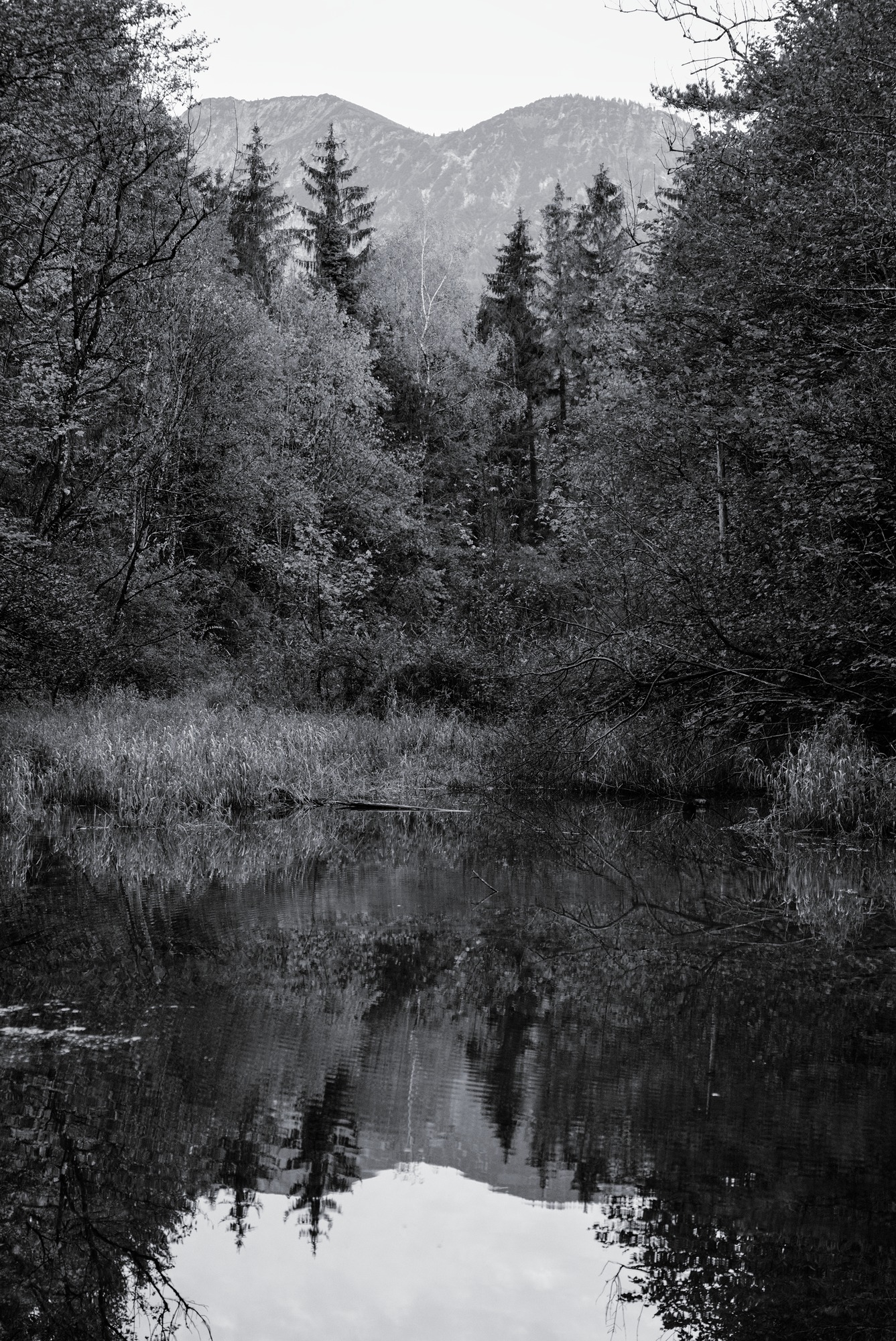 Calm of the Evening