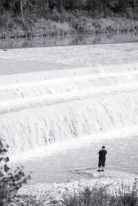 Fishing for Likes