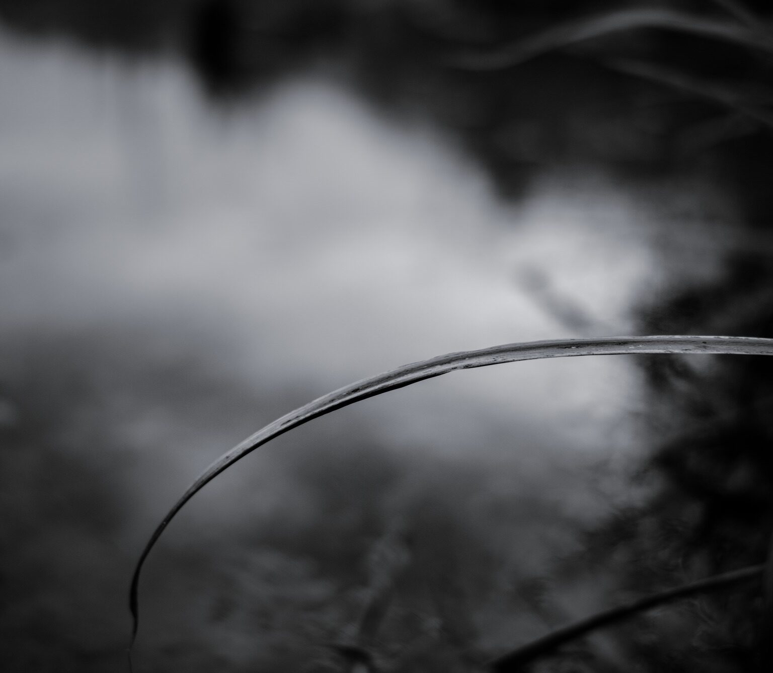 Timeless Shape