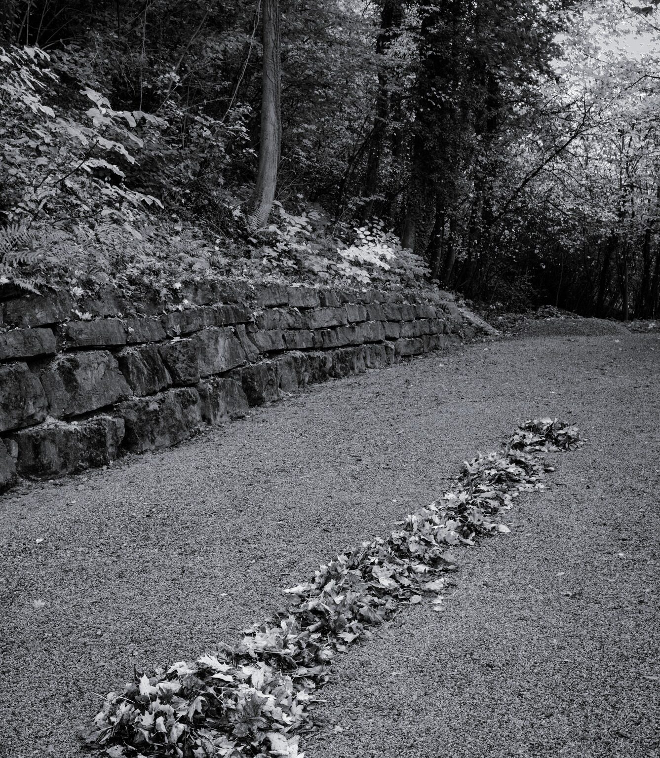 Unintentional Land Art