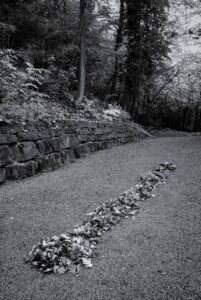 Unintentional Land Art