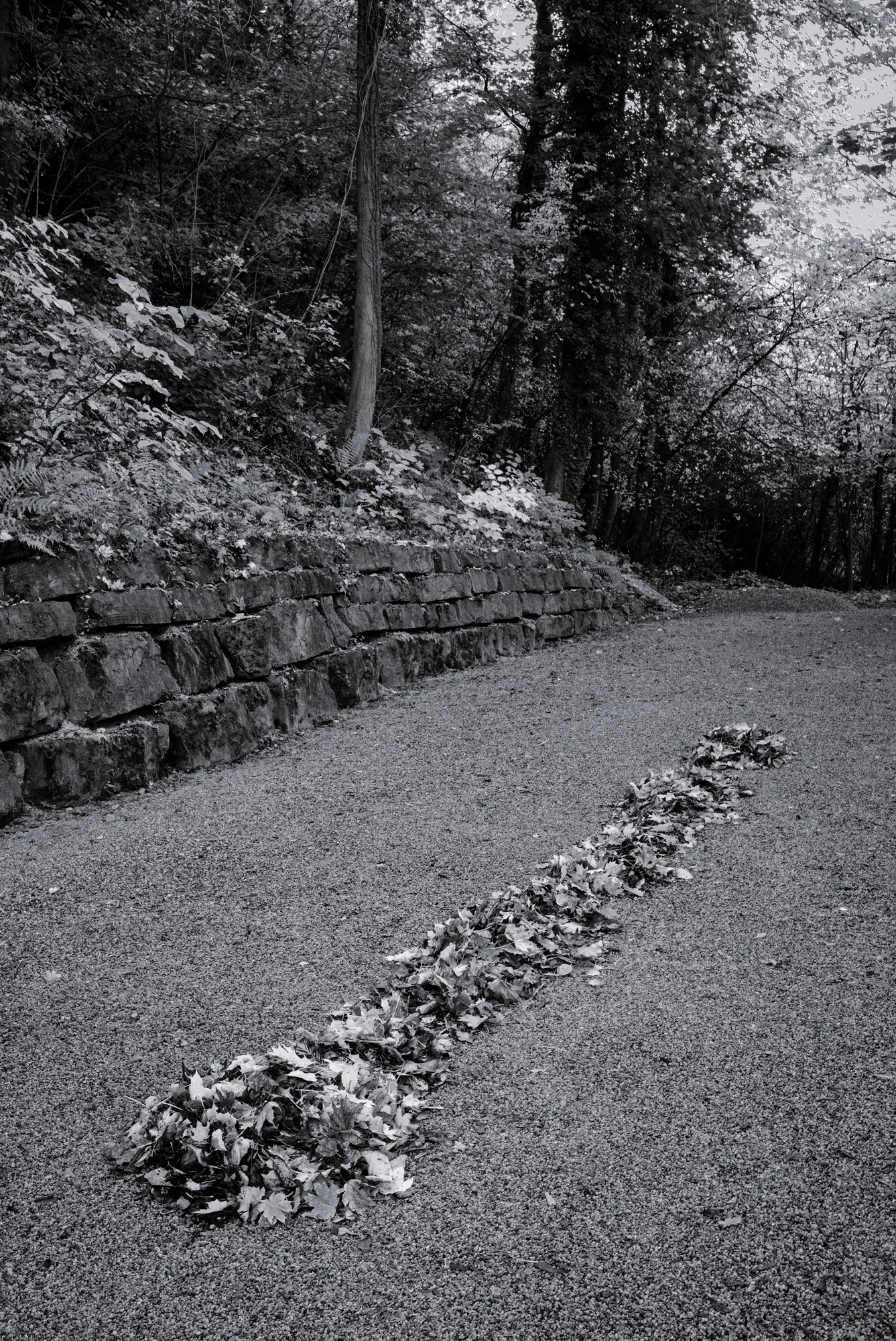 Unintentional Land Art