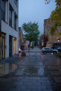 Good grey Morning Light