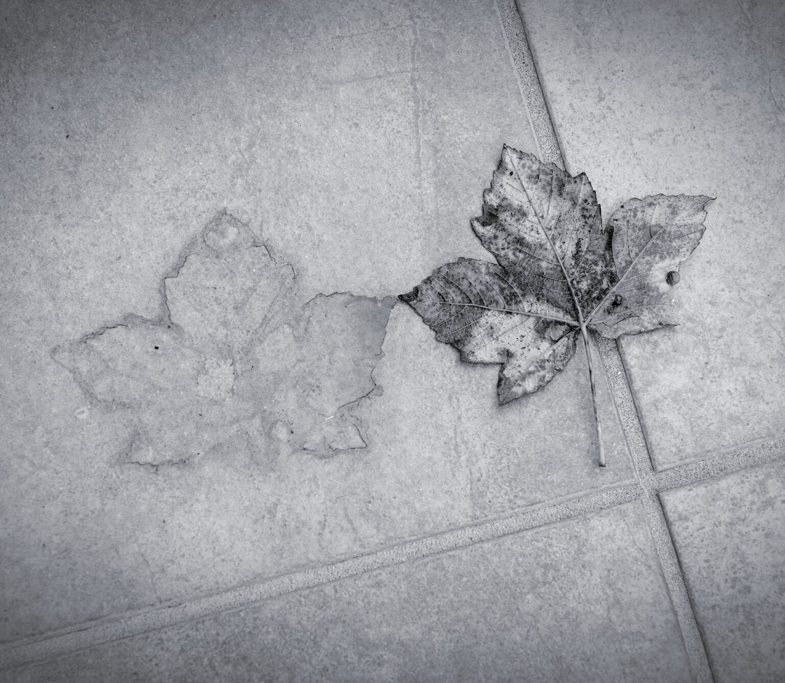 Memento Mori