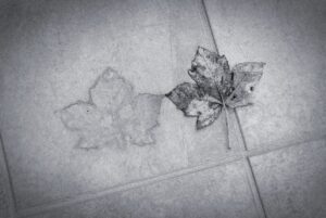 Memento Mori