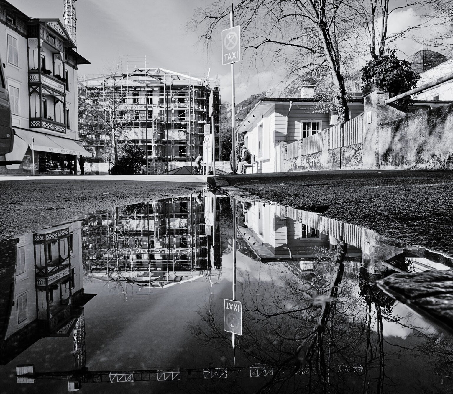 Puddle with a View