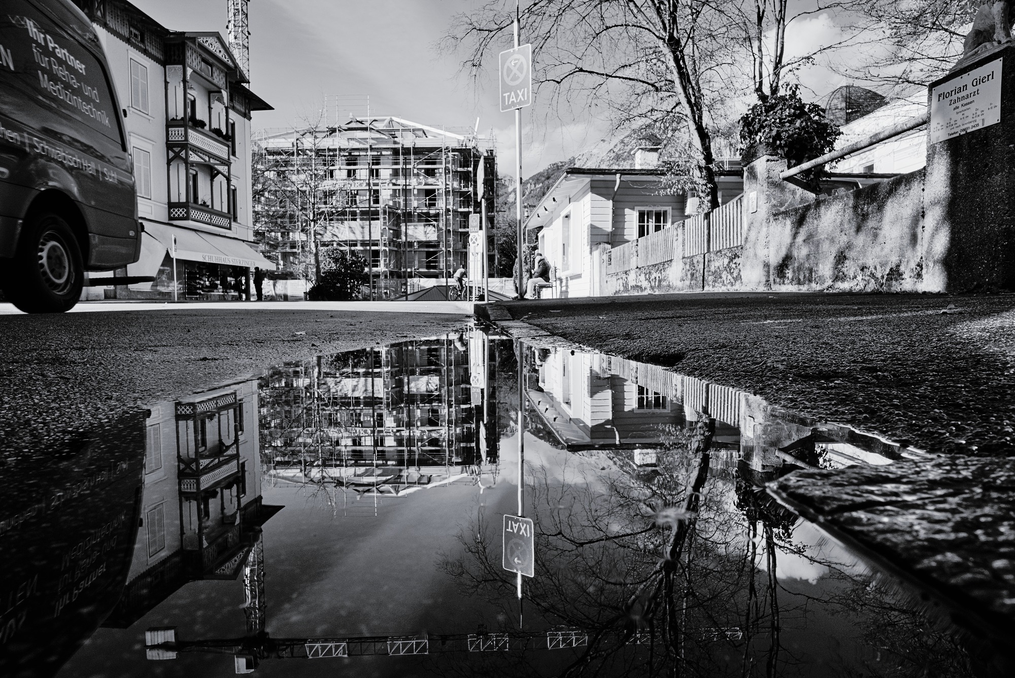 Puddle with a View