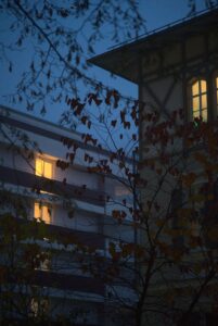 Sparse Leaves, bright Windows