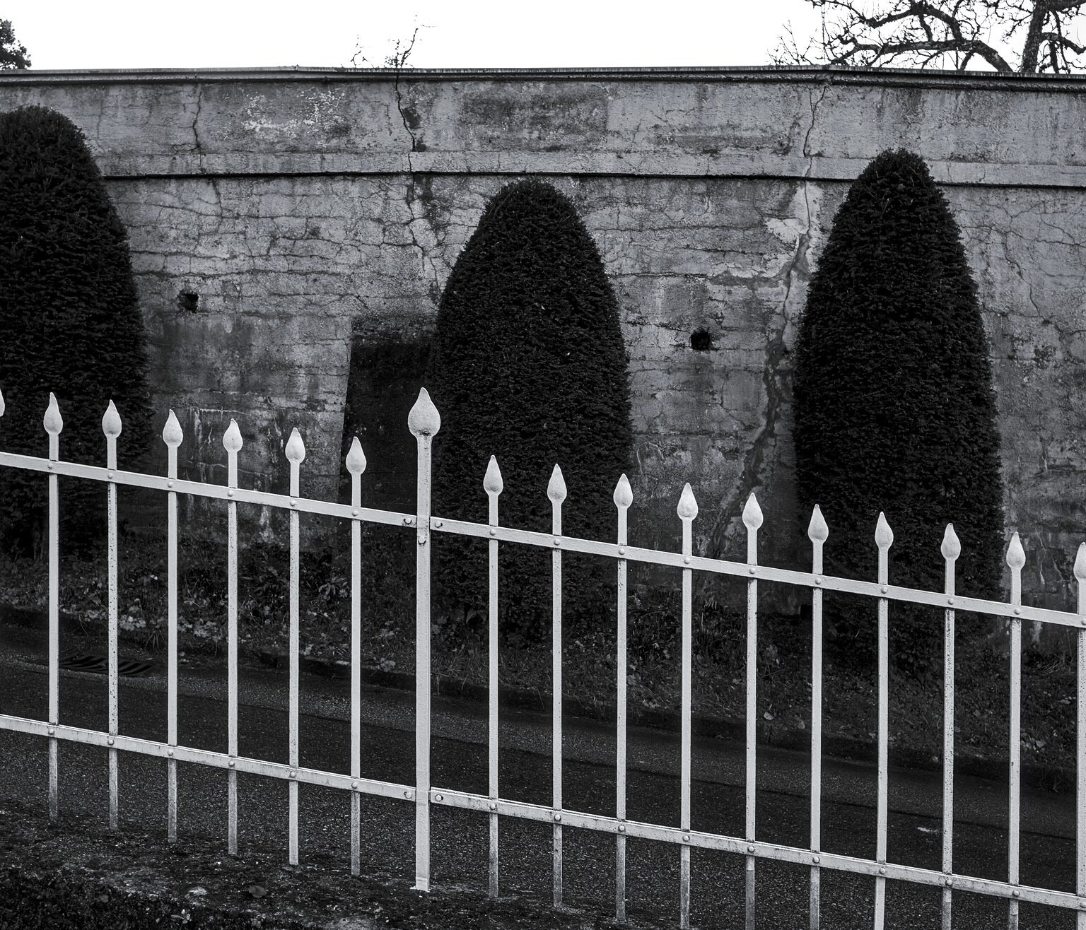White Fence