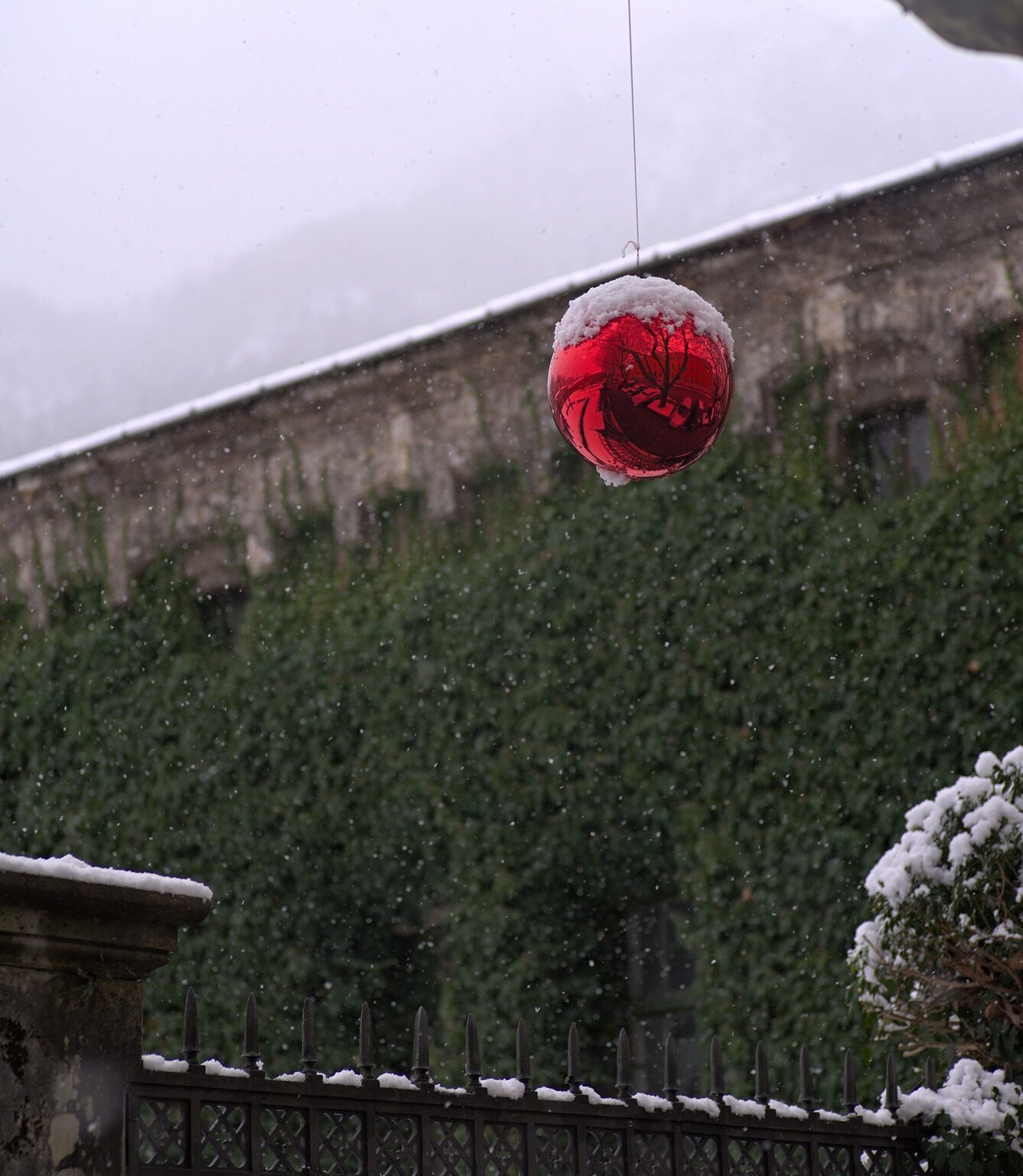 Green and Red in Winter Times