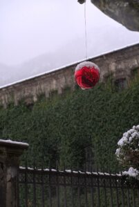 Green and Red in Winter Times
