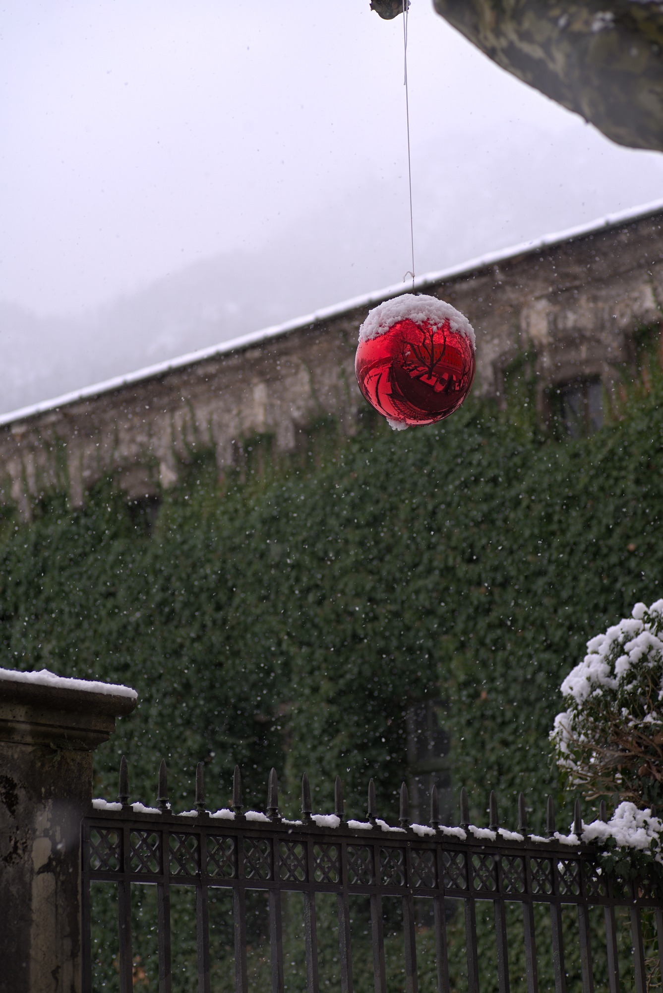 Green and Red in Winter Times