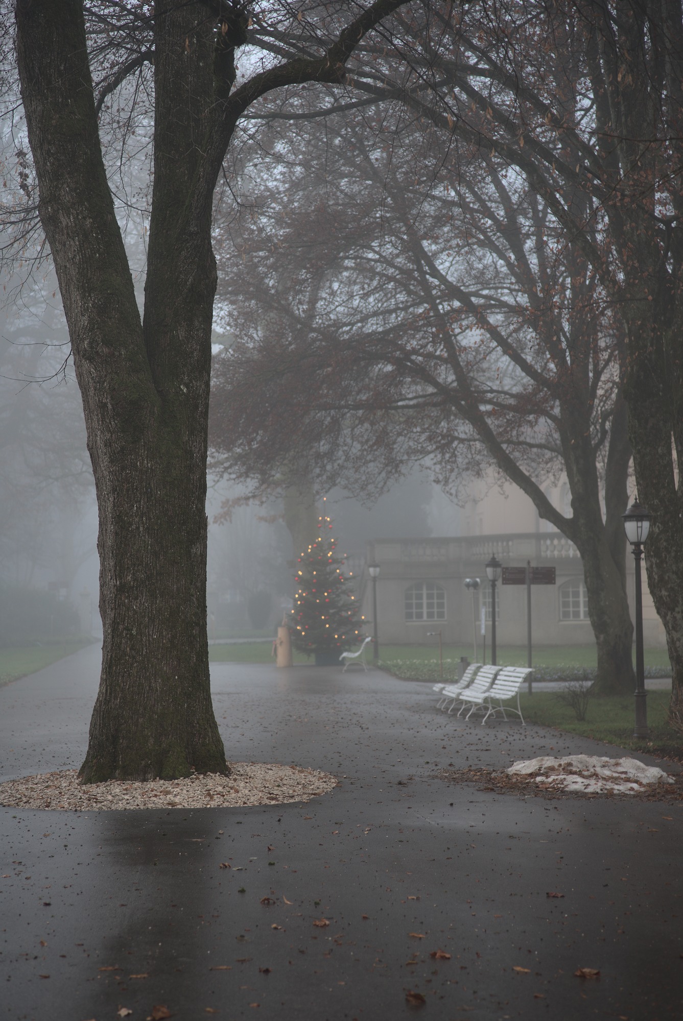 Impending Christmas