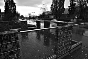 Rainy Afternoon