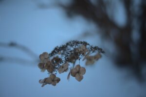 All that remains from 2020