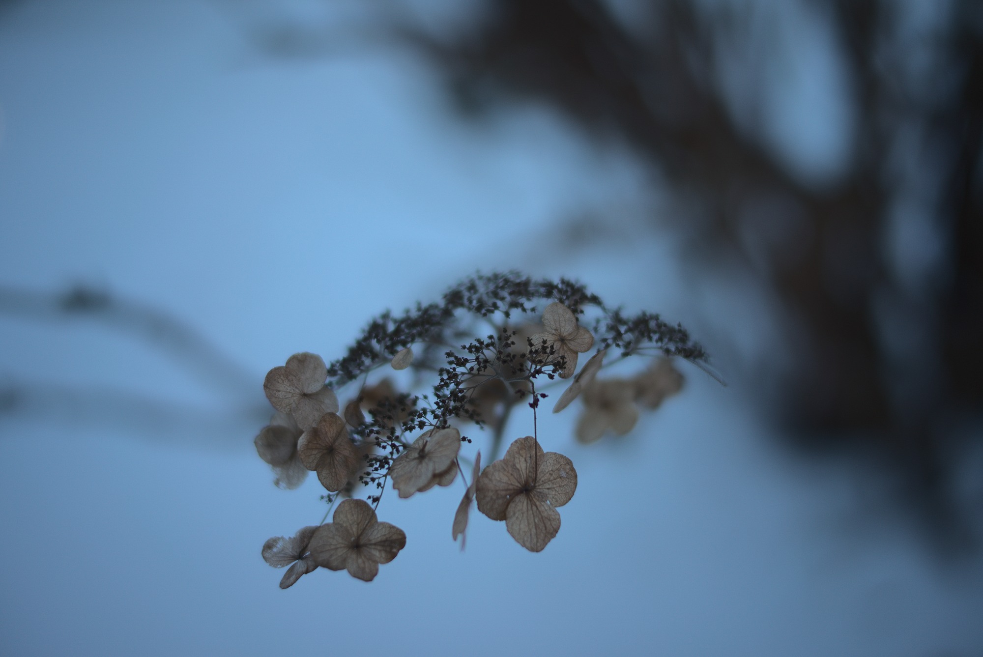 All that remains from 2020