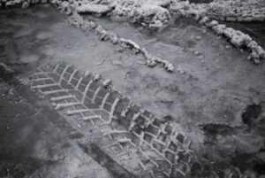 Moist Winter Interlude