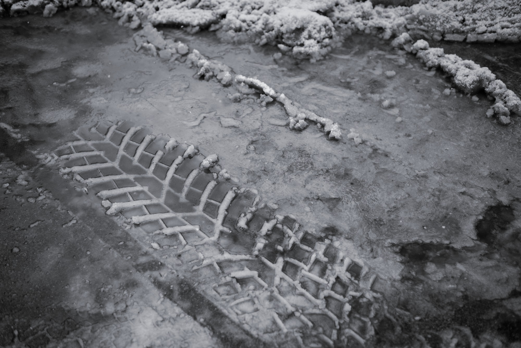 Moist Winter Interlude