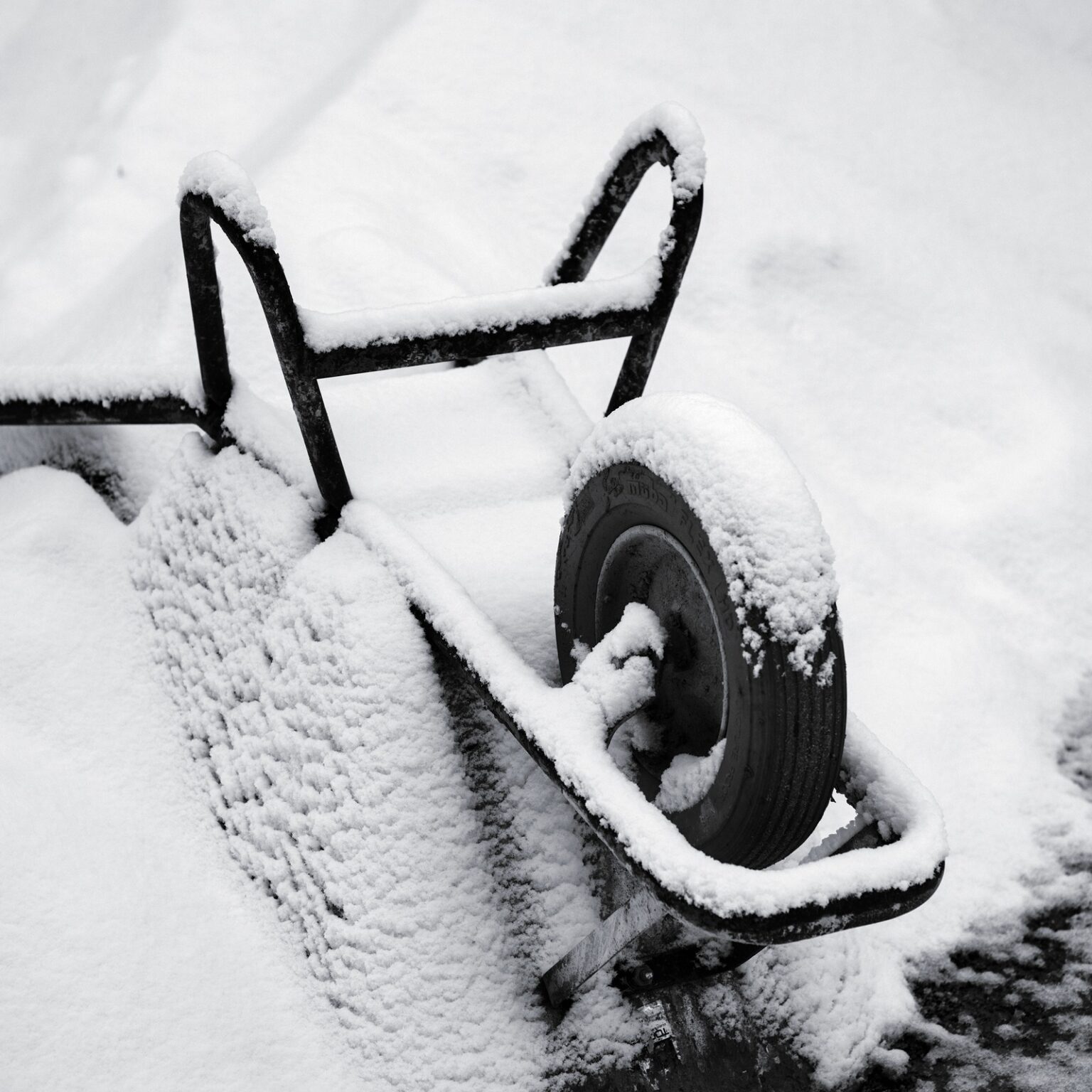 Snow-covered Mystery
