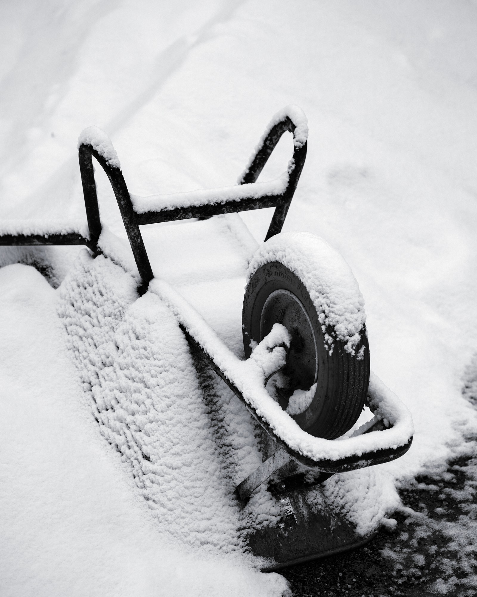 Snow-covered Mystery