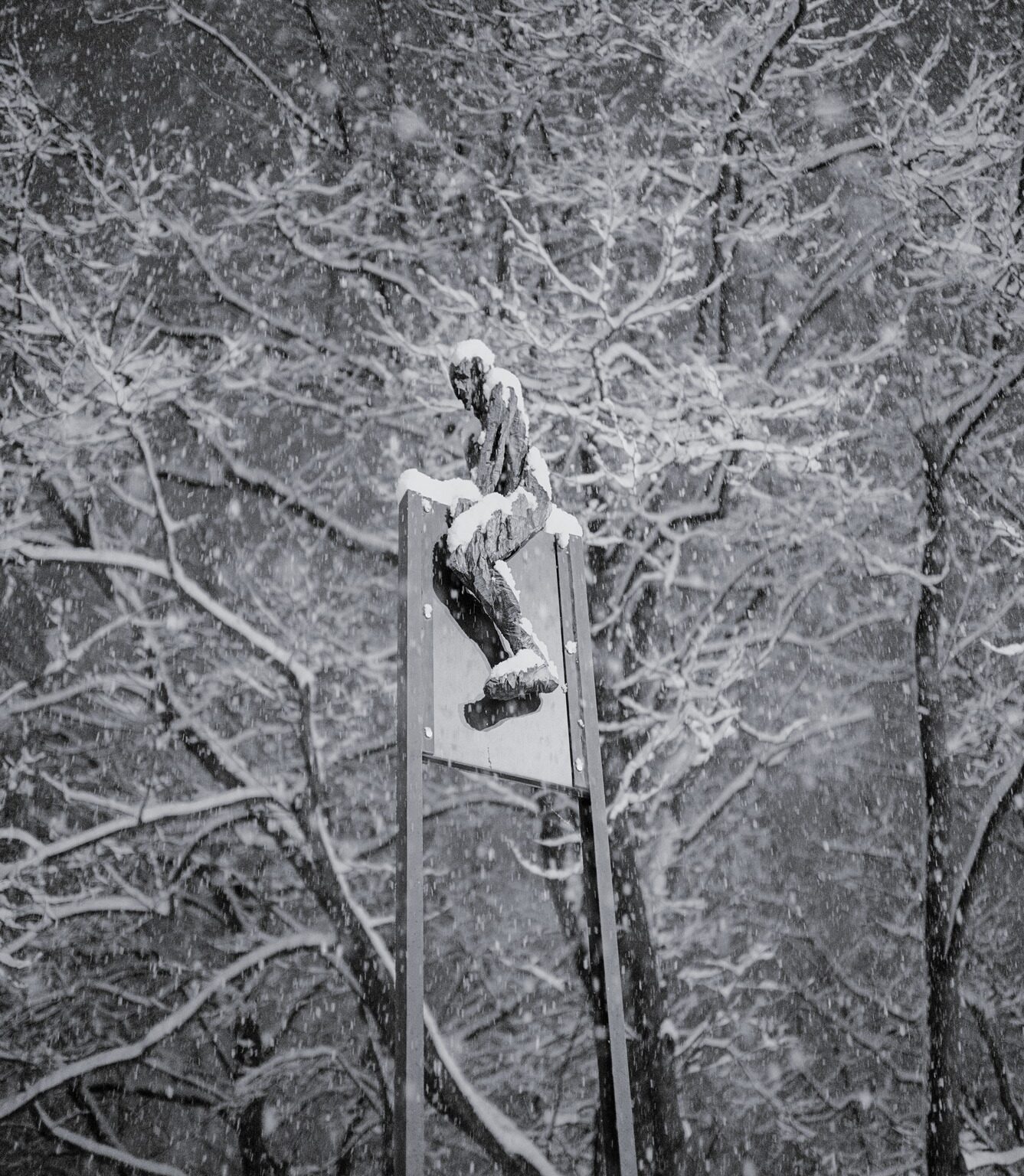 Snow Rider in the Trees