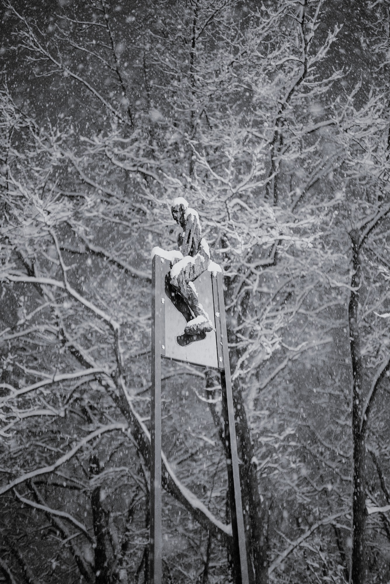 Snow Rider in the Trees