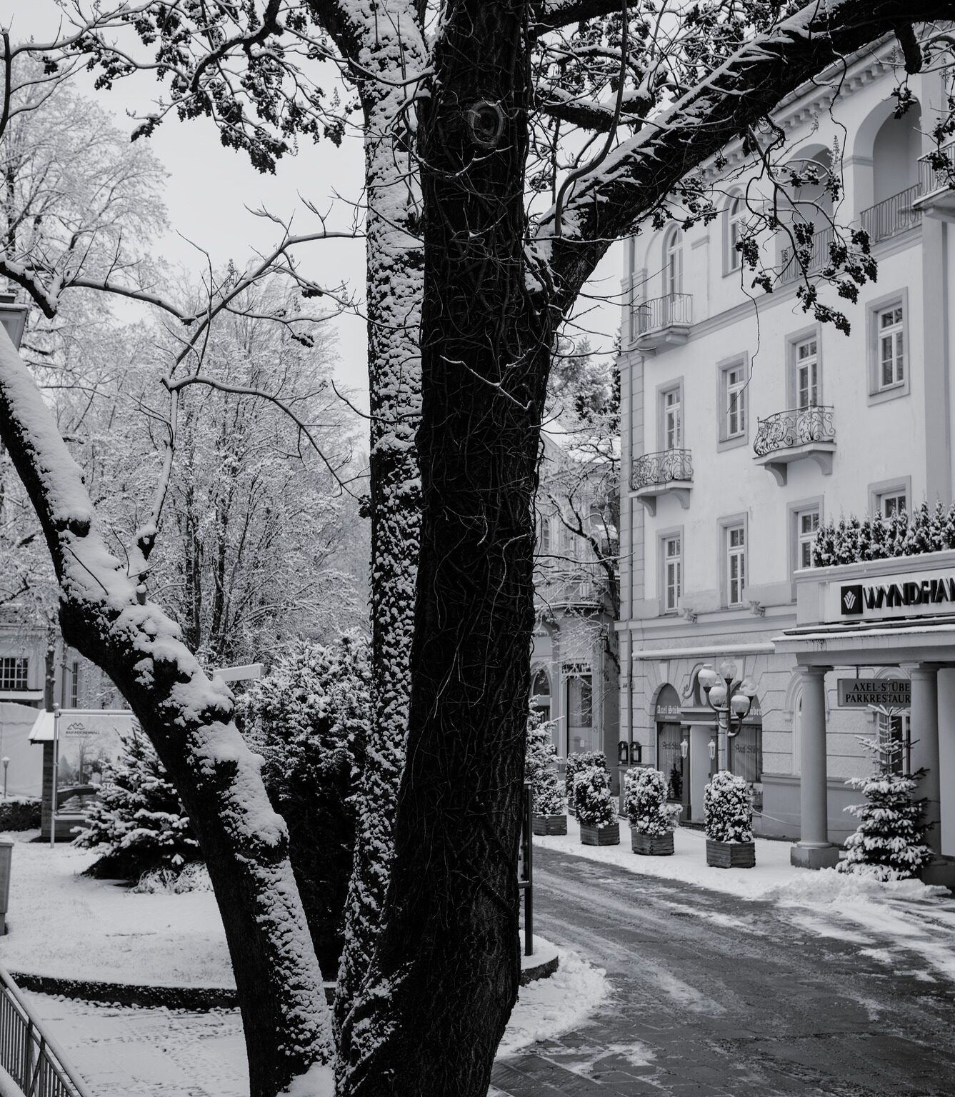 Tree and Grand Hotel