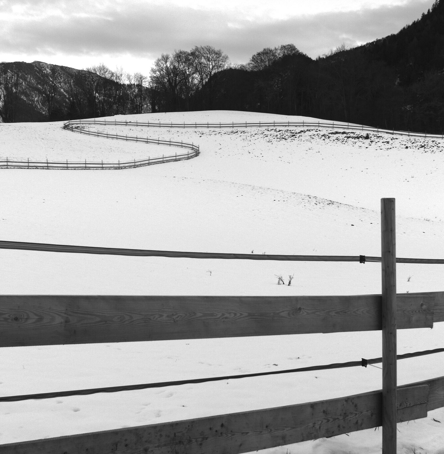 Winter Lines
