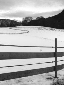 Winter Lines