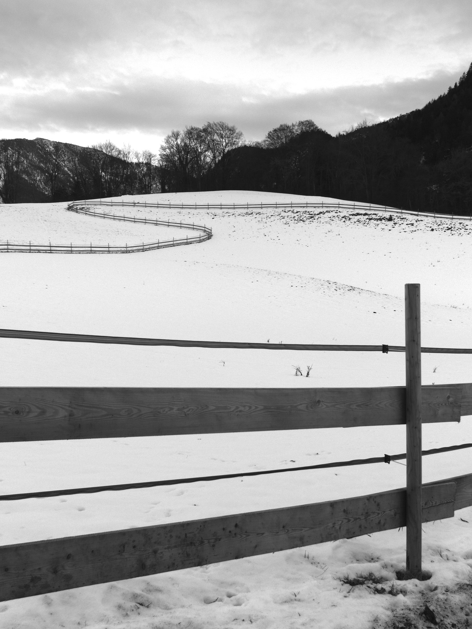 Winter Lines
