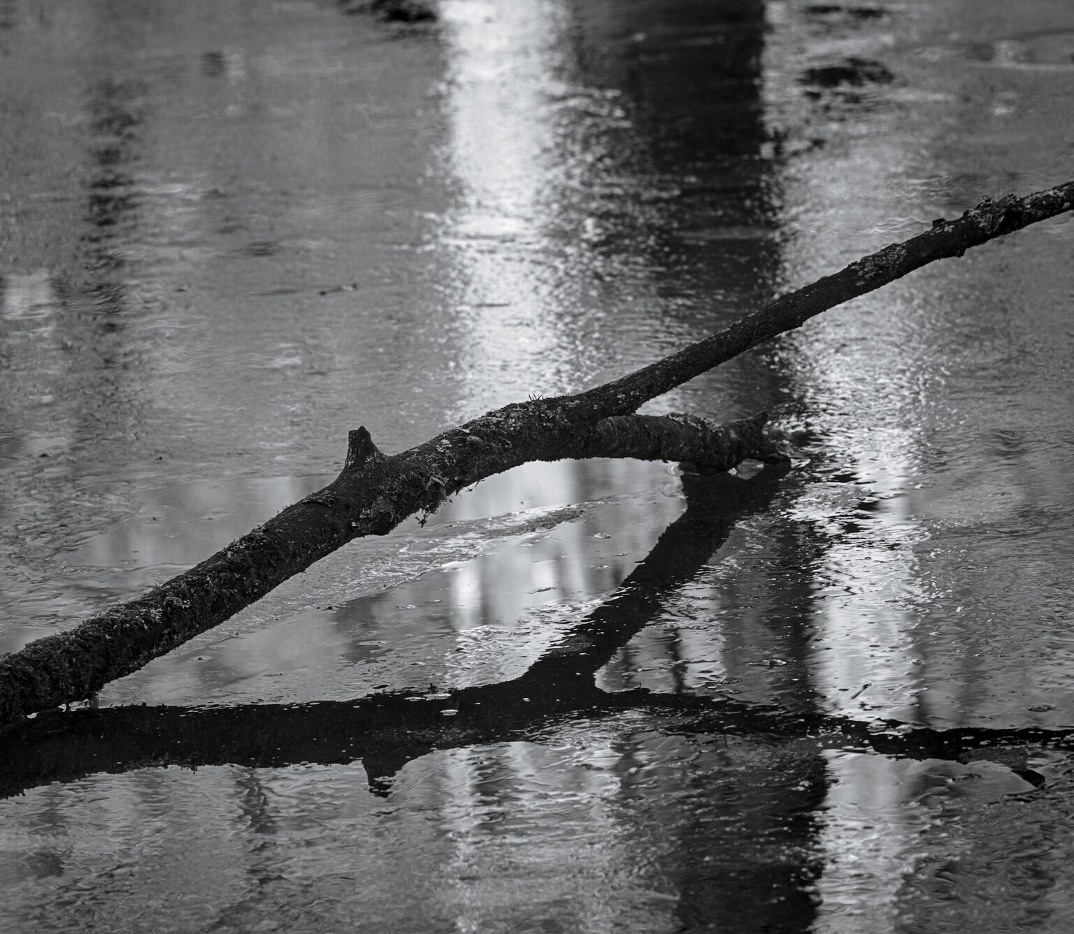 Icy Pond Reflection